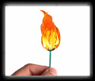 点击视频:erg-ms0152--火把变玫瑰(魔术道具)
