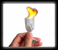 erg-ms0251--火纸玫瑰(魔术道具)-->详情